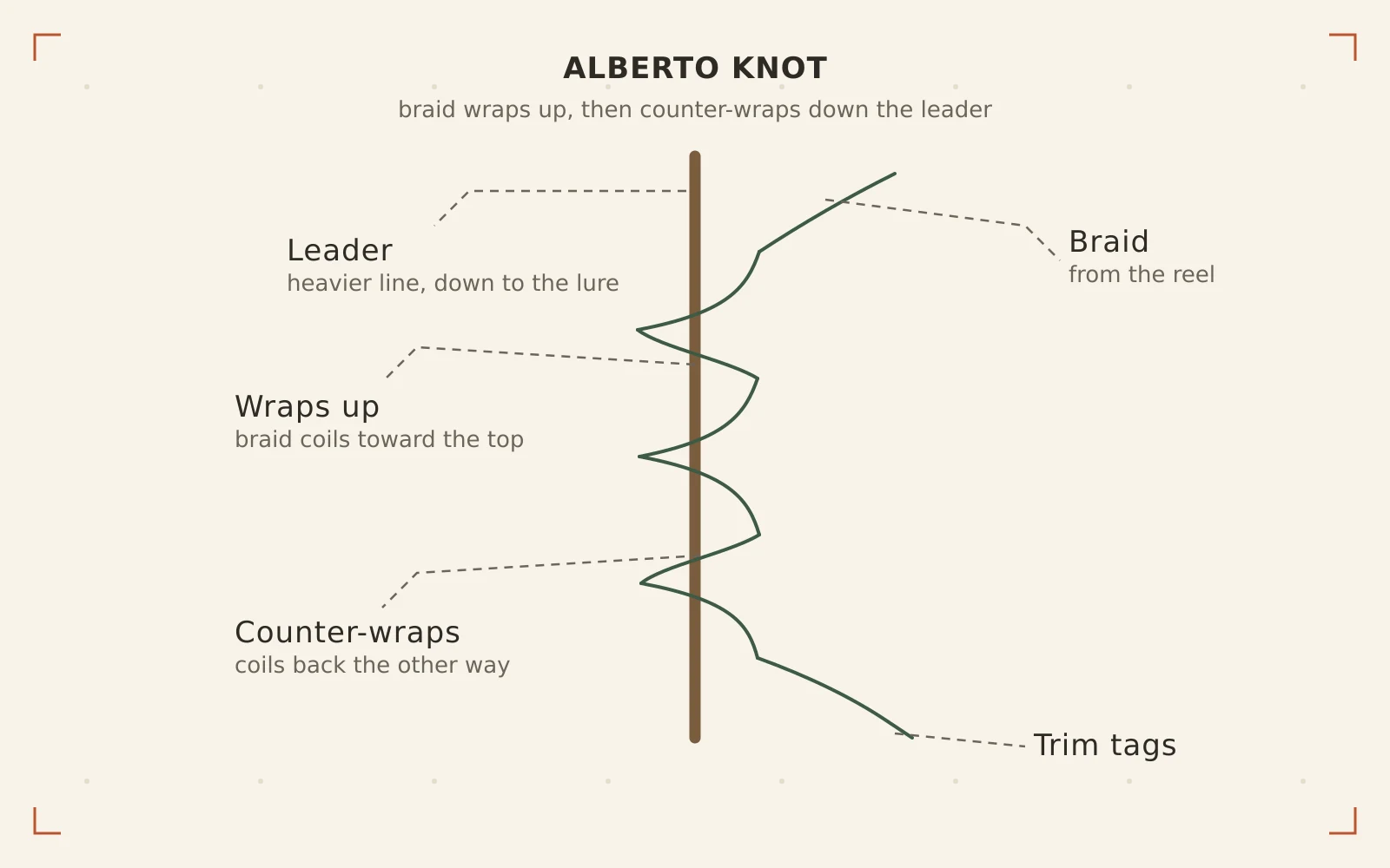 Alberto Knot