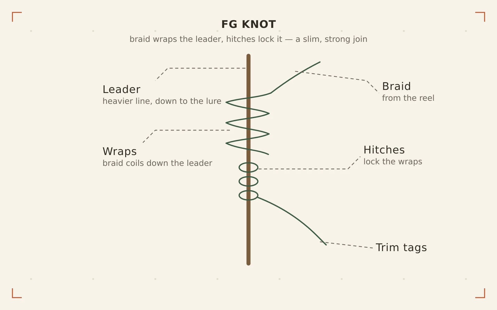 FG Knot