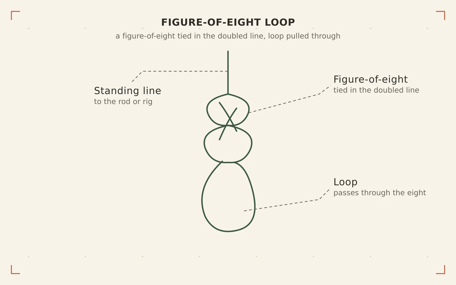 Figure-of-Eight Loop