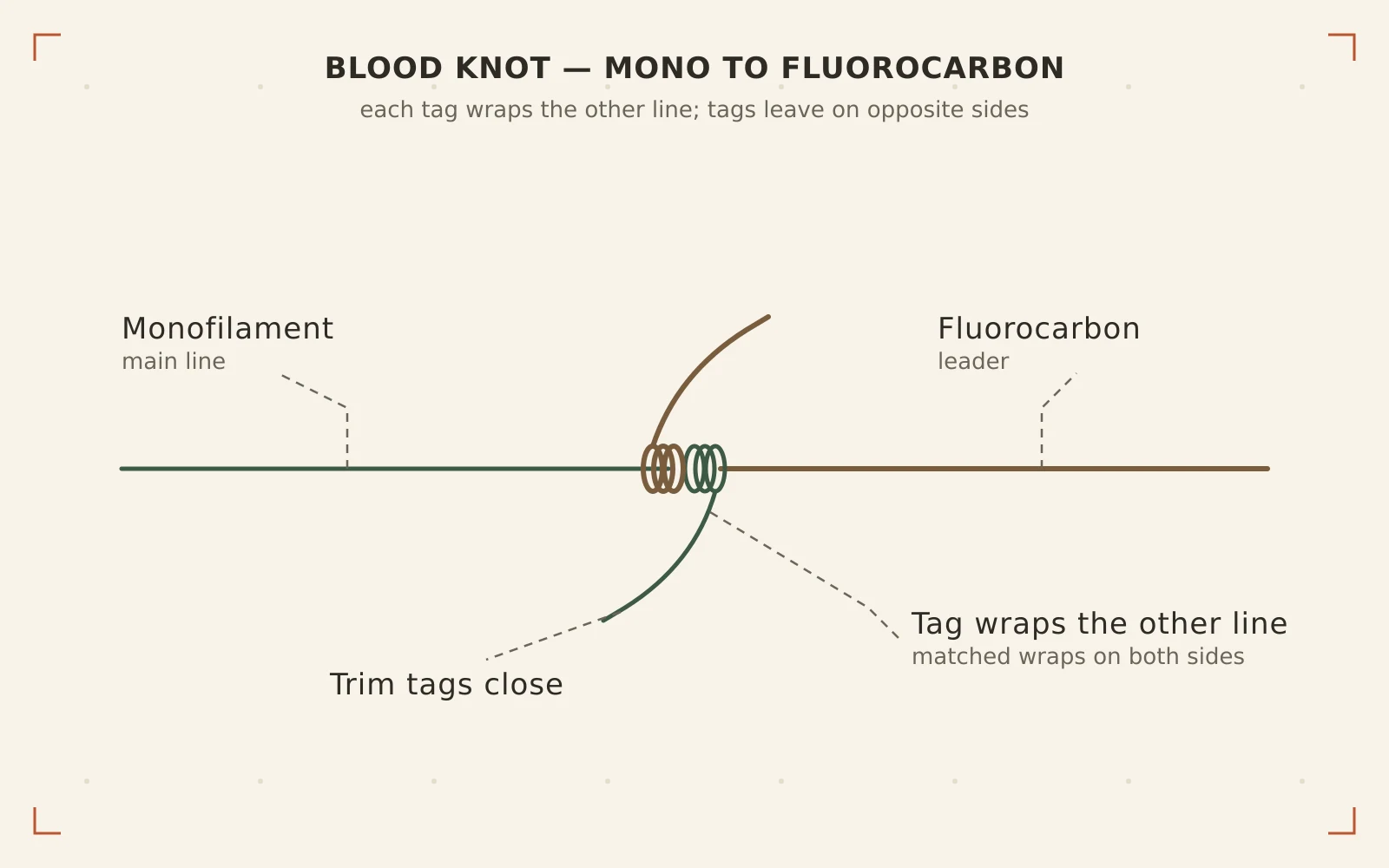 Blood Knot for Mono-to-Fluorocarbon Leaders