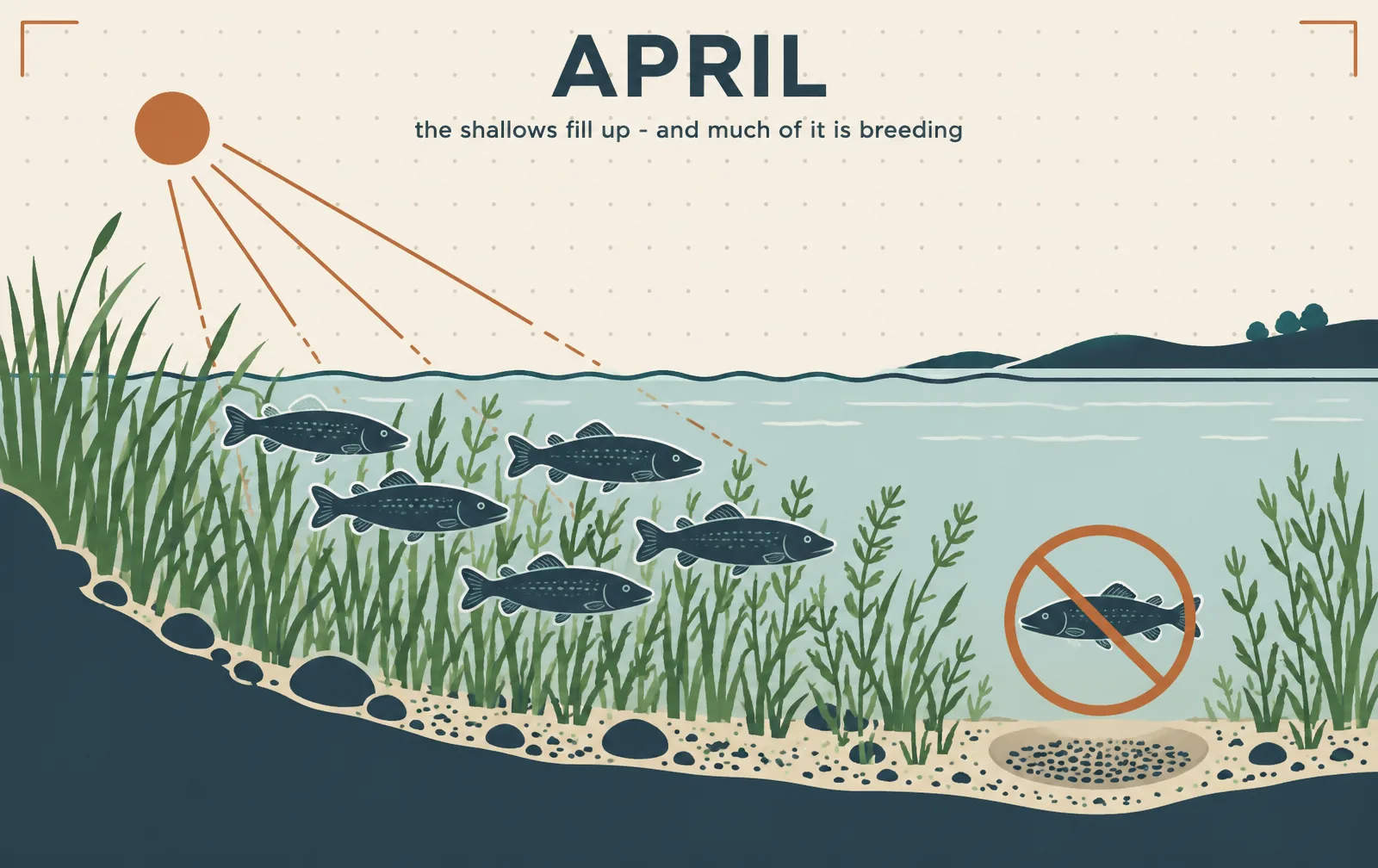 Illustration: what the water is doing in April