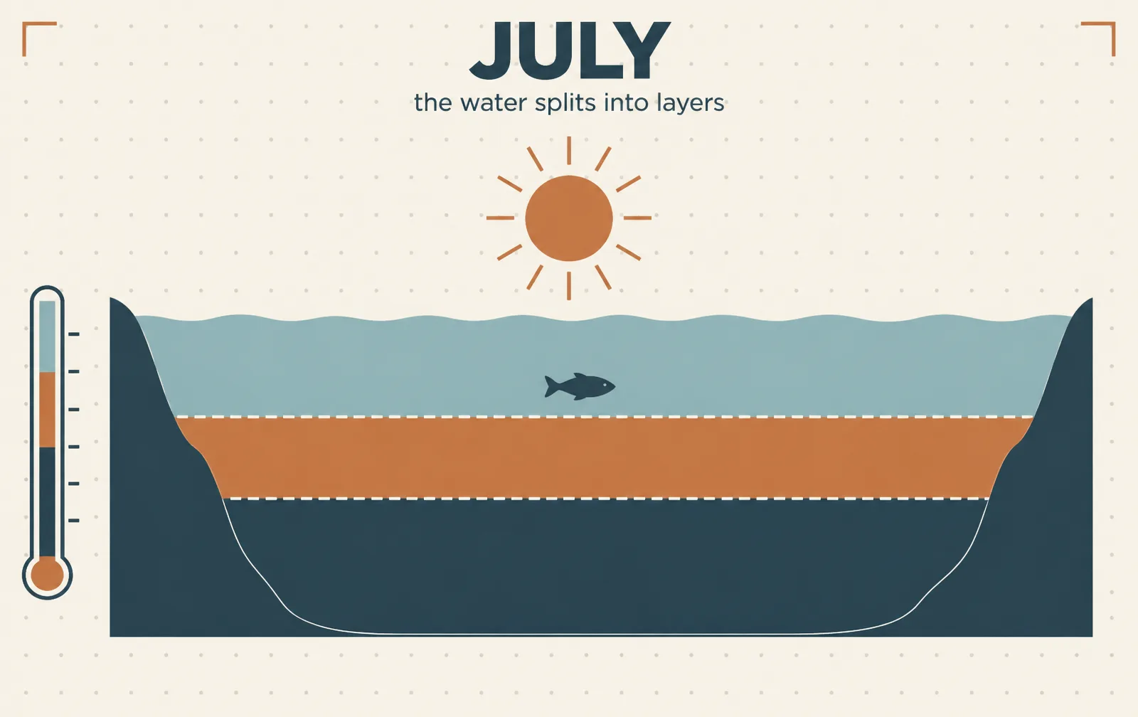Illustration: what the water is doing in July