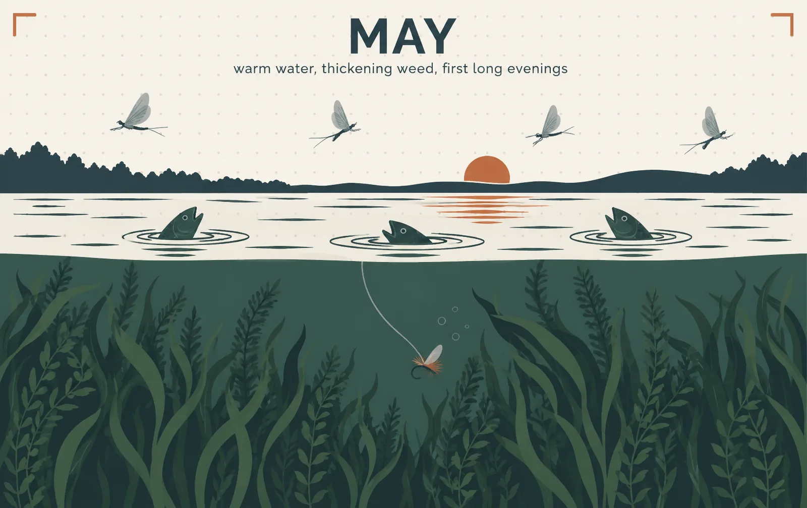 Illustration: what the water is doing in May