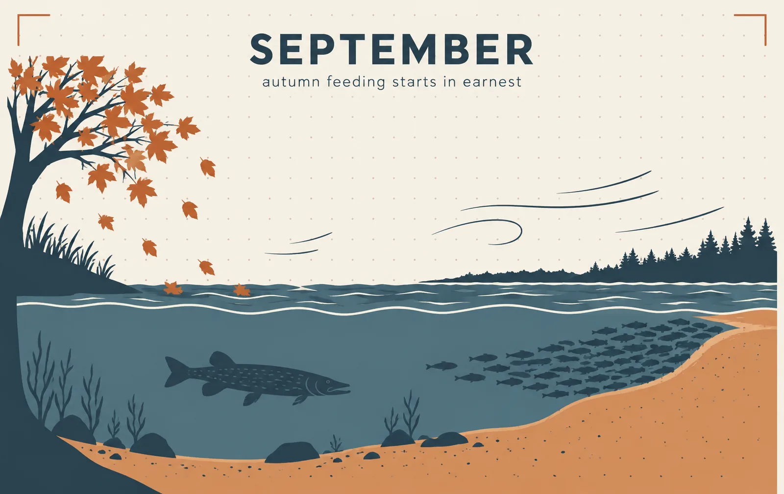 Illustration: what the water is doing in September
