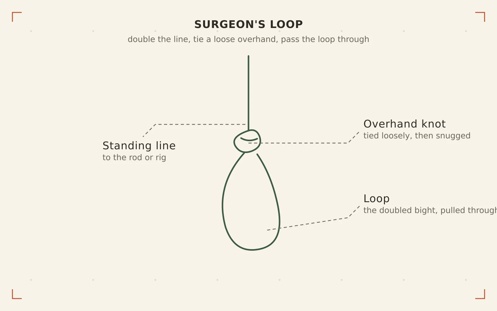 Surgeon's Loop